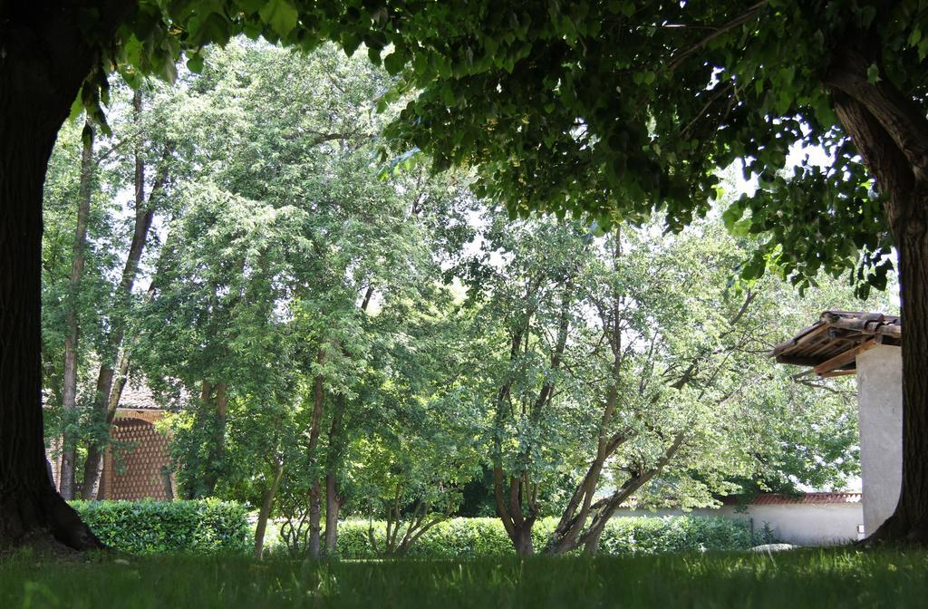 Tenuta Ajrale Vigone Dış mekan fotoğraf