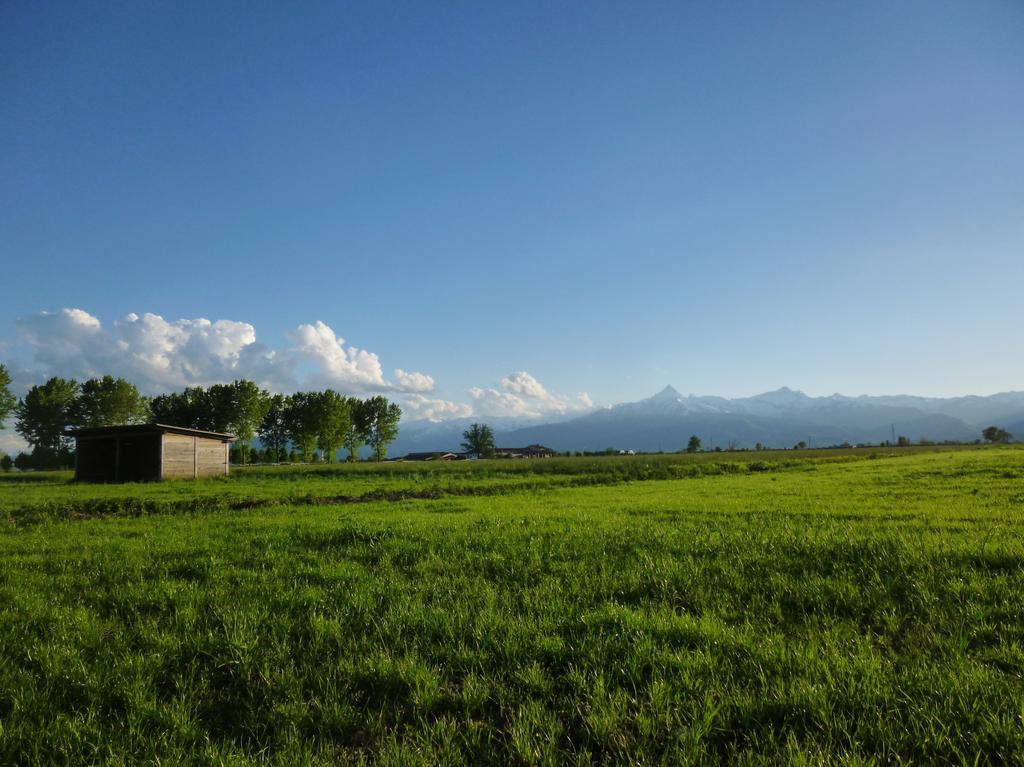 Tenuta Ajrale Vigone Dış mekan fotoğraf